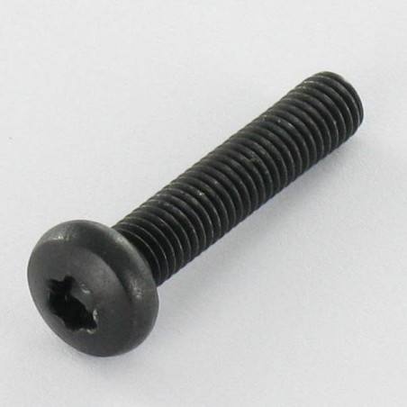 1 x Metalen schroeven bolvormige kopschroef RVS A2 M5X25 Zwart TORX T20