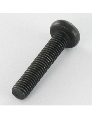 1 x Metalen schroeven bolvormige kopschroef RVS...