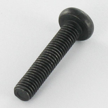 1 x Metalen schroeven bolvormige kopschroef RVS A2 M5X25 Zwart TORX T20