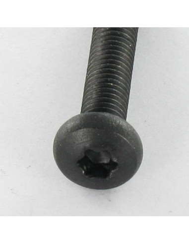 1 x Metalen schroeven bolvormige kopschroef RVS...