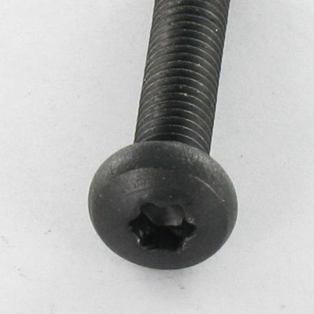 1 x Metalen schroeven bolvormige kopschroef RVS A2 M5X25 Zwart TORX T20