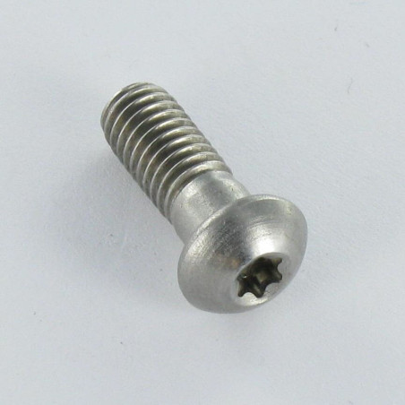 1 x Metalen schroeven bol cilinderkop RVS A2 M6X16 kopdiameter 10.3 TORX T20