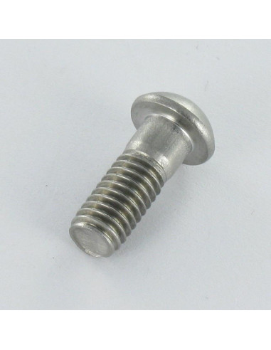 1 x Metalen schroeven bol cilinderkop RVS A2...
