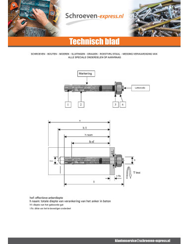 1 x Bout Verankering M12X110 A4 RVS