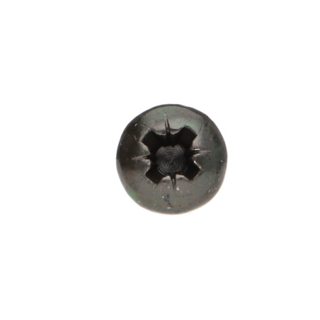 1 x Agglo houtschroeven ronde kop Pozi PZ6 3X16 Zwart gegalvaniseerd staal microschroeven