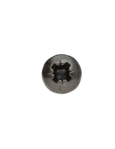 1 x Agglo houtschroeven ronde kop Pozi PZ7 4X15...