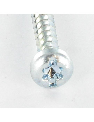 1 x PVC-schroeven cilindrische kop TORX T25...