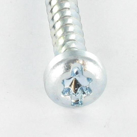 1 x PVC-schroeven cilindrische kop TORX T25 /FEND 5X12 Draadstang 30 Wit verzinkt staal