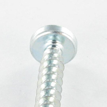1 x PVC-schroeven cilindrische kop TORX T25 /FEND 5X12 Draadstang 30 Wit verzinkt staal