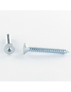 Metaalplaatschroef gefreesde kop TORX T8 2,9 x 9,5 Wit...