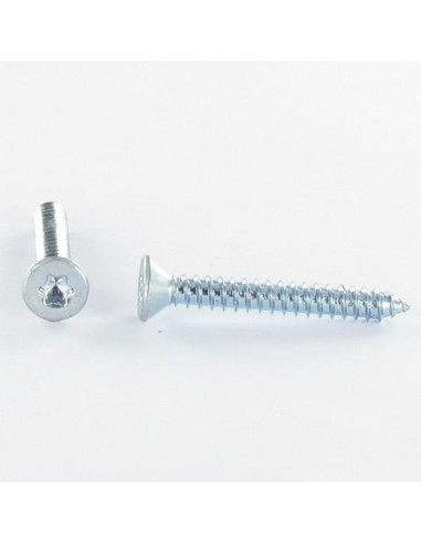 1 x Metaalplaatschroef gefreesde kop TORX T20...