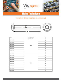 Metalen schroeven bolkop kraagflens TORX T30 M6X25 klasse... 2