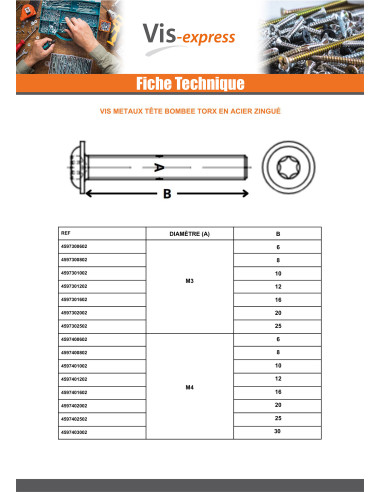 1 x Metalen schroeven bolkop kraagflens TORX...