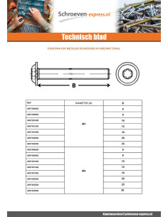 Metalen schroeven bolkop kraagflens TORX T40 M8X10 klasse... 2