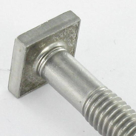 1 x Metalen schroeven M6X50 kop vierkant 10x10 EP4 RVS A2