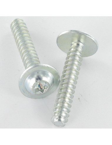 1 x PVC-schroeven brede ronde kop 5X30 TORX T25...