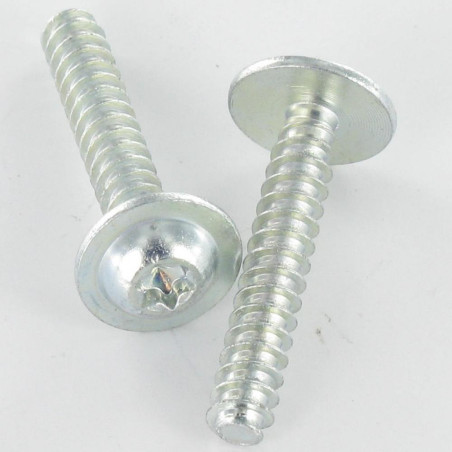 1 x PVC-schroeven brede ronde kop 5X30 TORX T25 Wit verzinkt staal