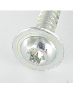 PVC-schroeven brede ronde kop 5X30 TORX T25 Wit verzinkt... 2