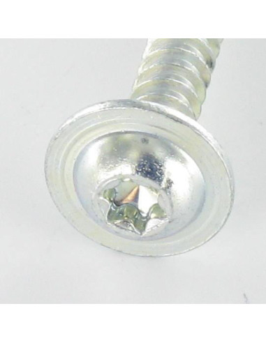 1 x PVC-schroeven brede ronde kop 5X30 TORX T25...