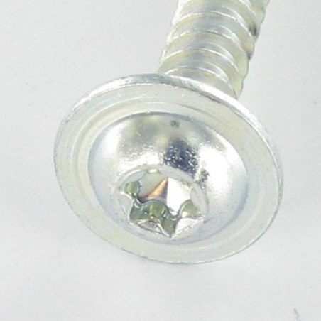 1 x PVC-schroeven brede ronde kop 5X30 TORX T25 Wit verzinkt staal
