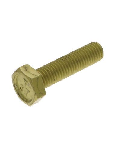 1 x Metalen schroeven zeskantkop TH M10X40...