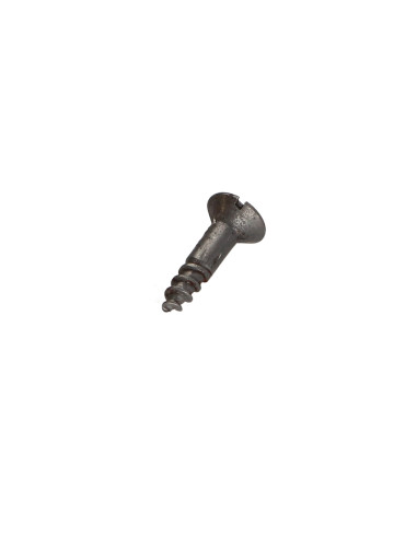 1 x Houtschroeven Ruw staal 5X50 geboord en...