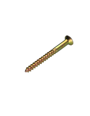 1 x Houtschroeven Bichromaat 6X60 geboord en...