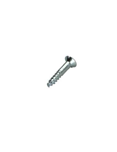 1 x Houtschroeven Ruw staal 4,5X20 geboord en...