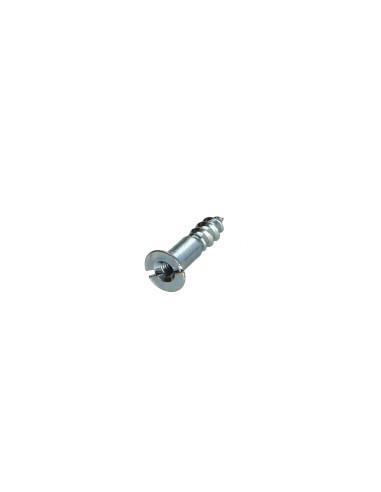 1 x Houtschroeven Wit verzinkt staal 5X25...