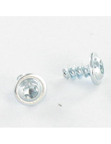 1 x PVC-schroeven Bolkop breed rond TORX 4X20...