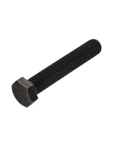 1 x Metalen schroeven zeskantkop TH M12X55...