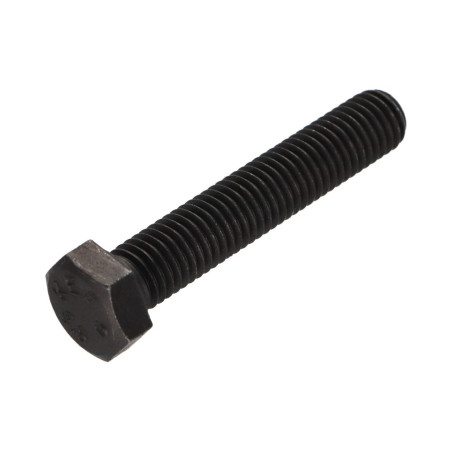 1 x Metalen schroeven zeskantkop TH M12X55 Klasse 8.8 Ruw staal