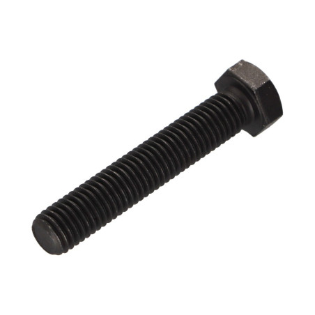 1 x Metalen schroeven zeskantkop TH M12X55 Klasse 8.8 Ruw staal