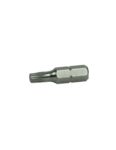 1 x Bit Industriële kwaliteit 1/4" C6.3 RVS...
