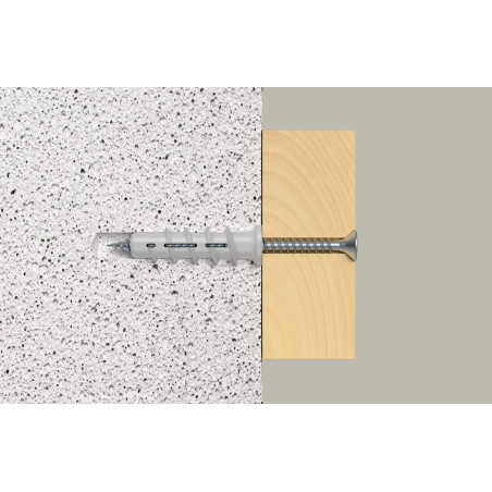 1 x Plug Nylon Fischer FTP K 6