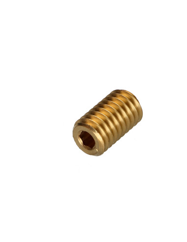 1 x Insert Messing zeshoekig hol M12 steek van...