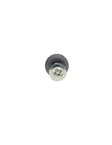 1 x Plug Nagel Schroeven RAWLPLUG platte kop...