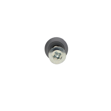 1 x Plug Nagel Schroeven RAWLPLUG platte kop Groot 6X40