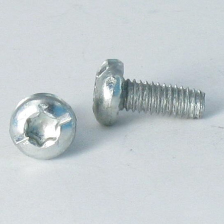 1 x Zelftappende schroef cilindrische kop TORX bedraad op split 5X12 kartel Wit verzinkt staal