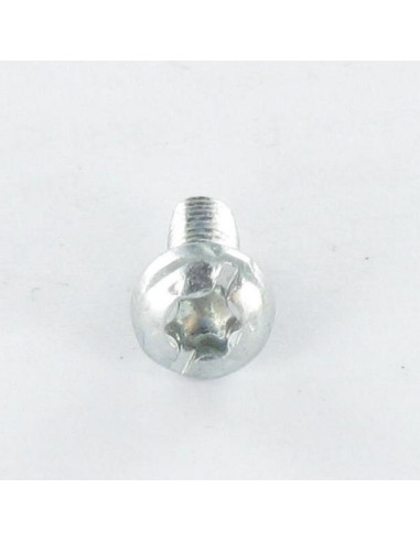 1 x Zelftappende schroef cilindrische kop TORX...