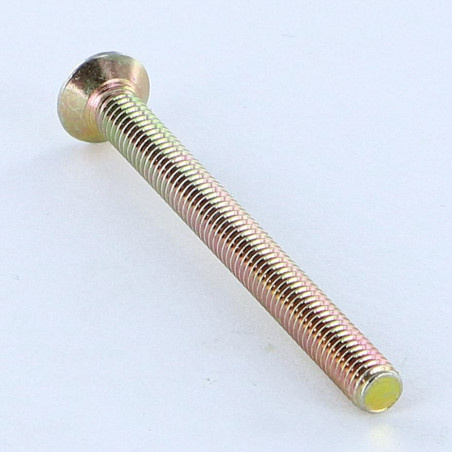 1 x Metalen schroeven gefreesde bolkop split M6X25 Bichromaat