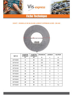 Borgring met interne pen 80x115x1,5 Type F 10 Ruw staal 2