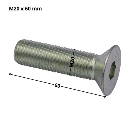 1 x Metalen schroeven FHC verzonken kop met zeskant print sleutel van 12 M20X60 volledige draad klasse 10.9 Wit verzinkt