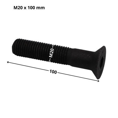 1 x Metalen schroeven FHC verzonken kop met zeskant print sleutel van 12 M20X100 gedeeltelijke draad klasse 10.9 Ruw staal
