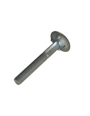 1 x Schroeven gefreesde kop BREED 4ERGOT10X80...