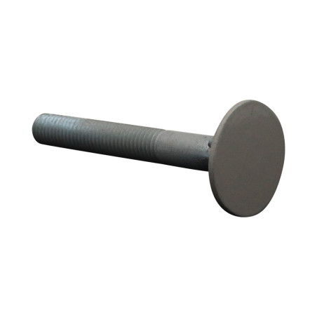 1 x Schroeven PLAN gefreesde kop BREED 10X80 4ERGOTZG RAL7044