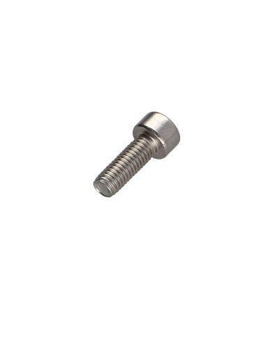 1 x Metalen schroeven cilindrische kop TORX T10...