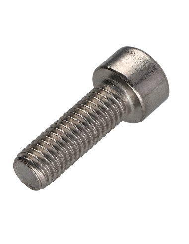 1 x Metalen schroeven cilindrische kop TORX T50...