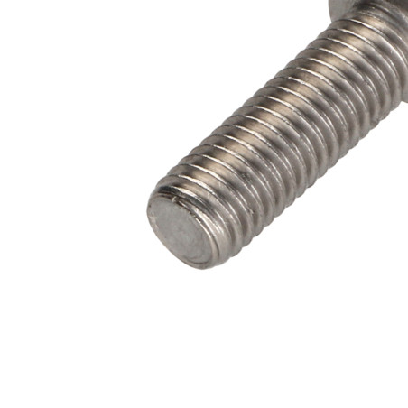1 x Metalen schroeven cilindrische kop TORX T50 RVS A2 M10X30 volledige draad