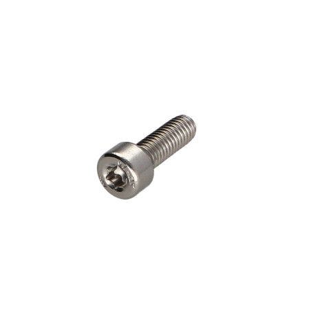 1 x Metalen schroeven cilindrische kop TORX T30 RVS A2 M6X25 volledige draad